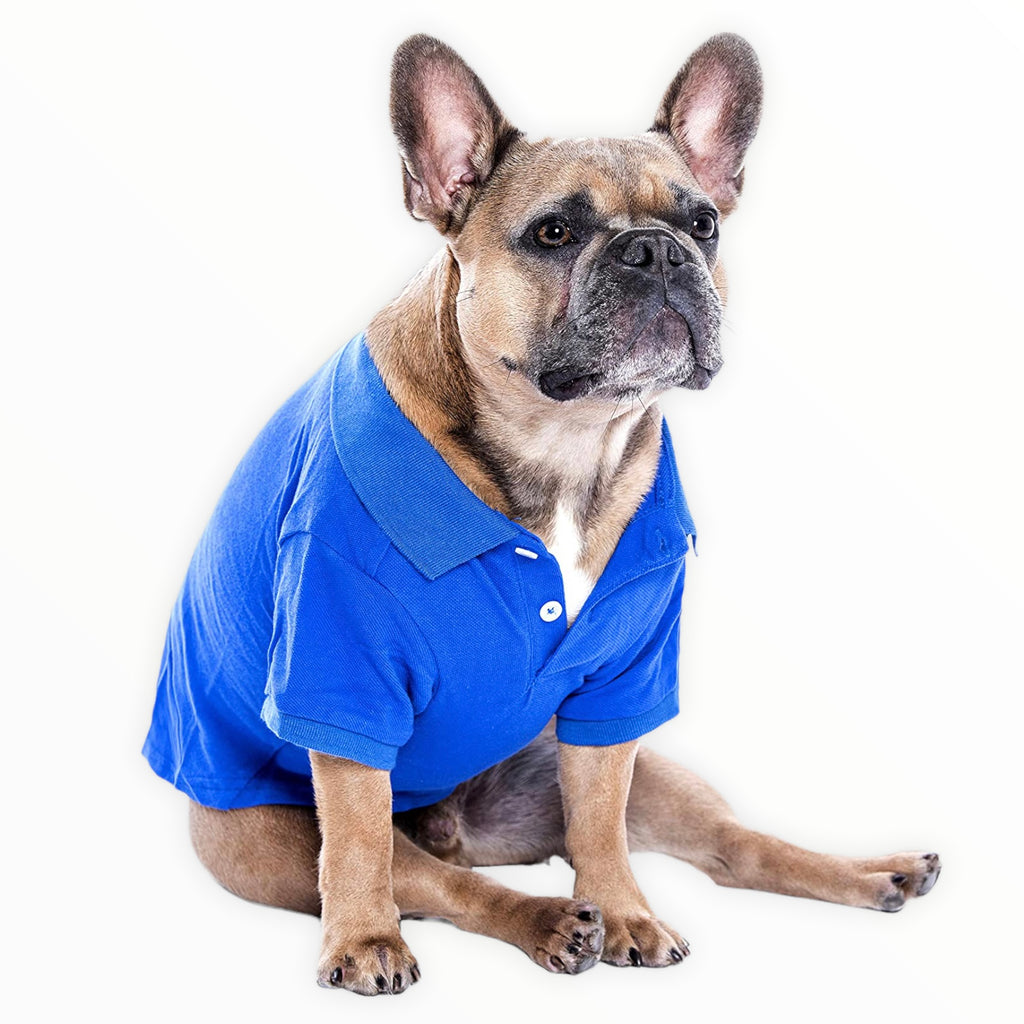 sport polo tee - blue