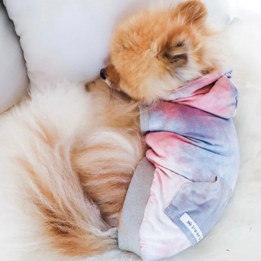 tie dye dream dog hoodie