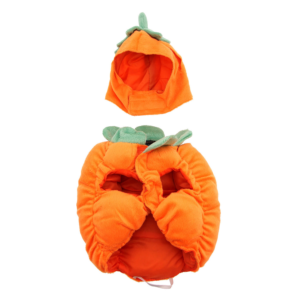 pumpkin pooch  - size xl