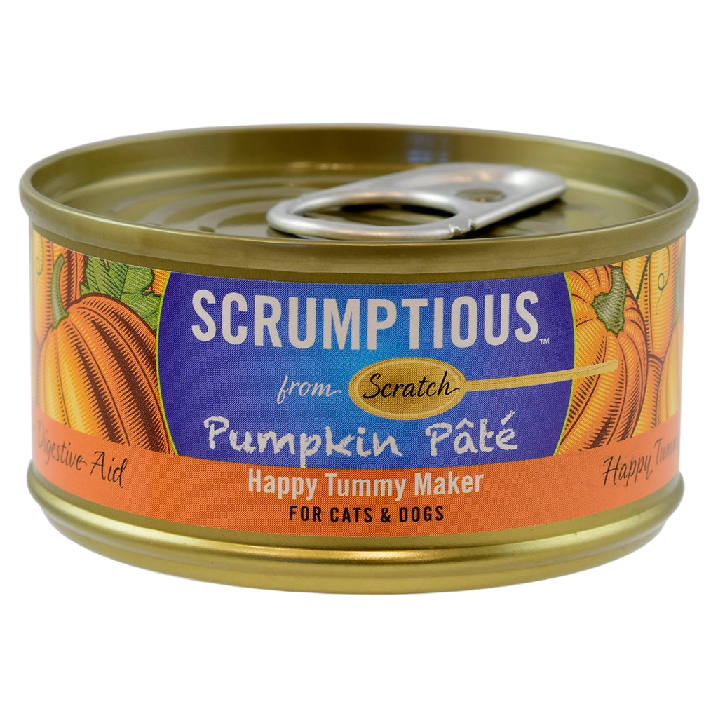scrumptious pumpkin pate'