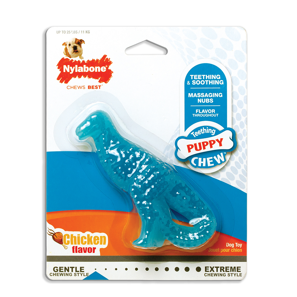 Dinosaur teething toy online