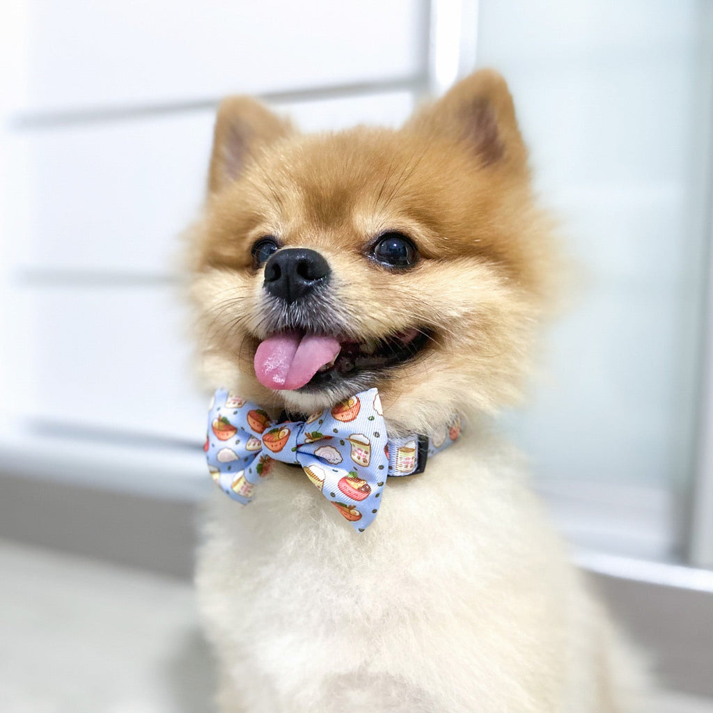 ramen adjustable collar - 1 large left!