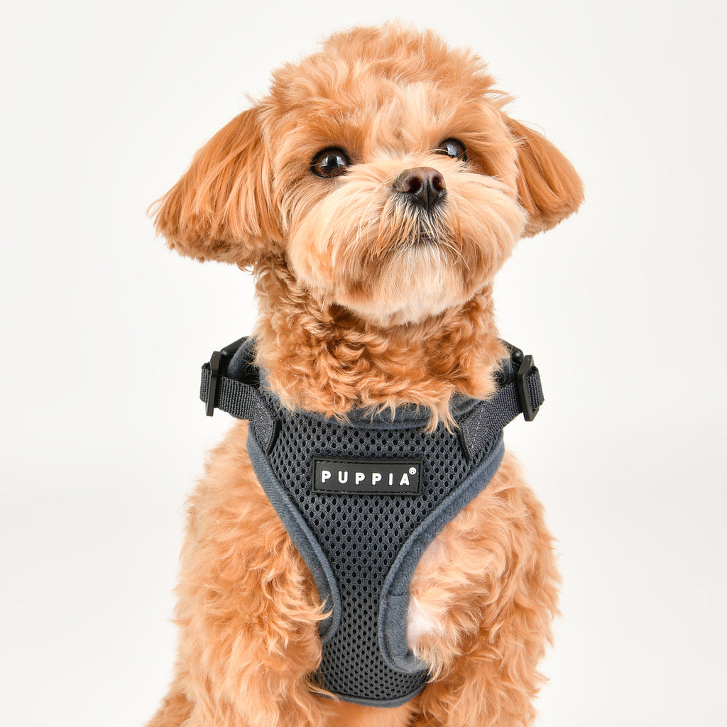grey ritefit harness - available in medium!