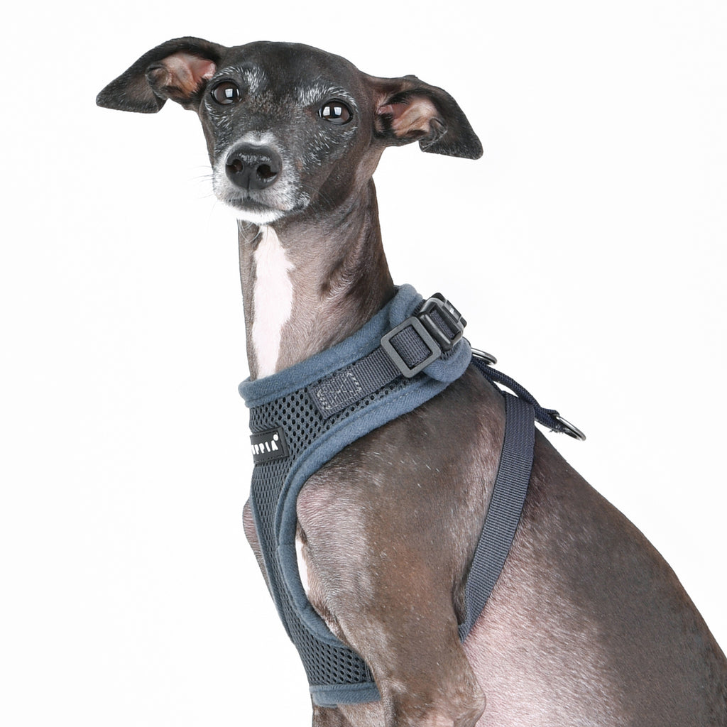 grey ritefit harness - available in medium!