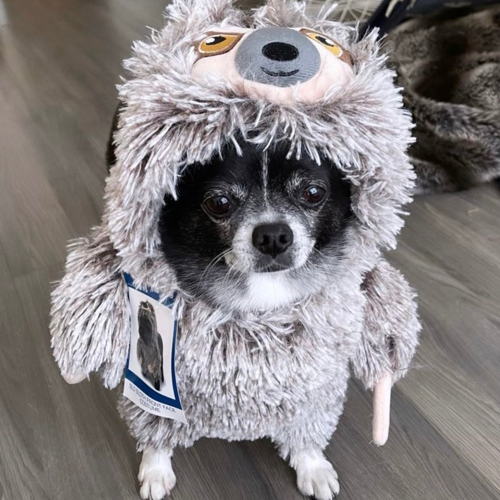 slo sloth front face costume