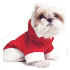 santa's coat