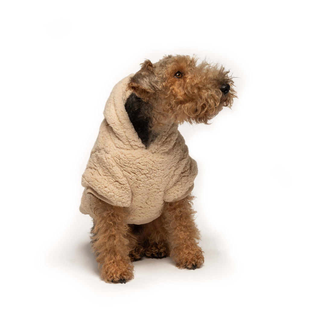 sherpa hoodie
