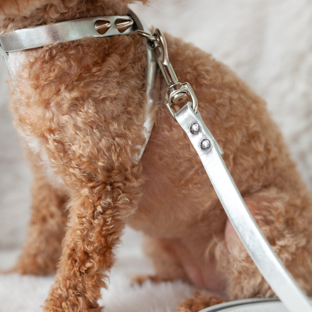 silver fashion leash
