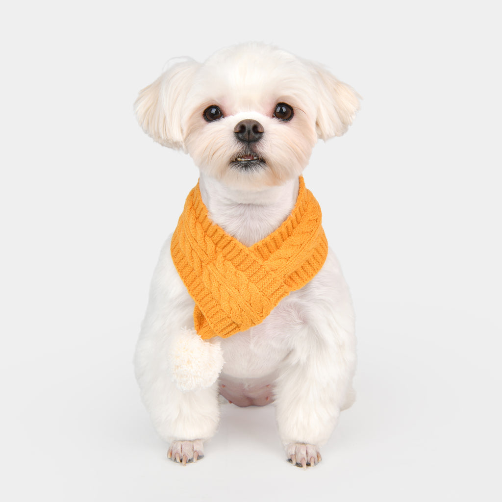 olchi knit hat with scarf - mustard - 1 small left!