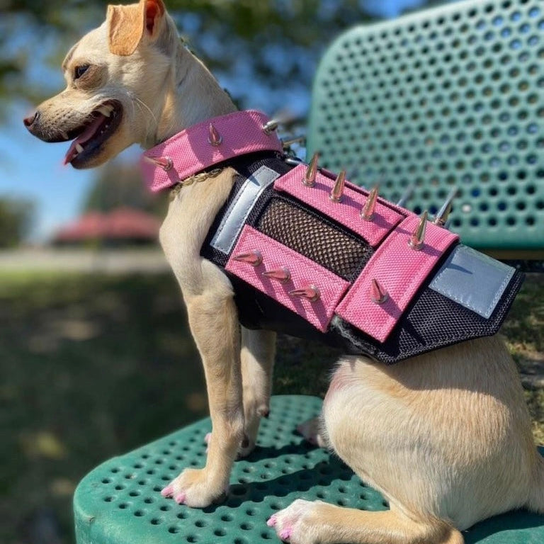Spiky Vest Protects Dogs Against Predators 