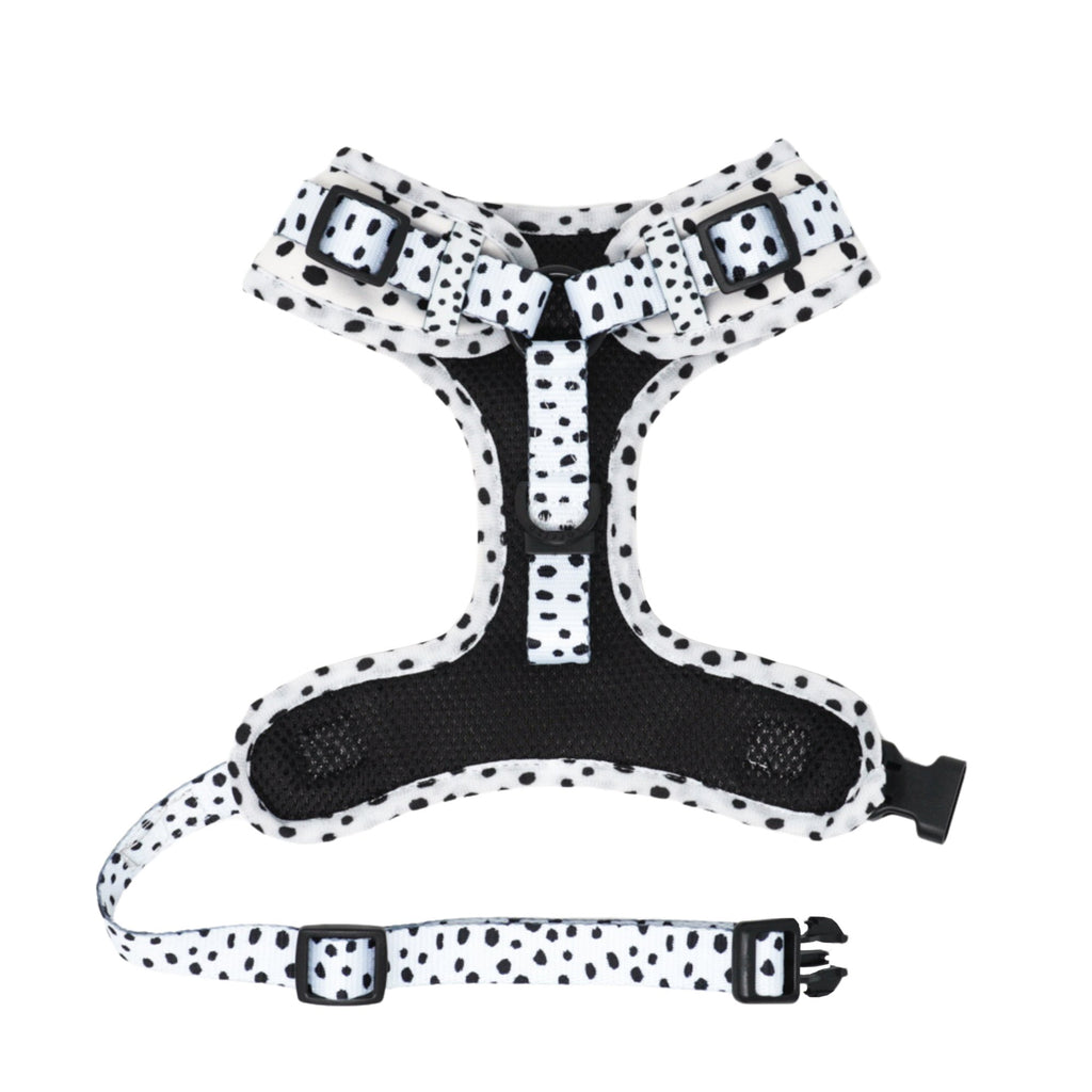adjustable harness - spotted
