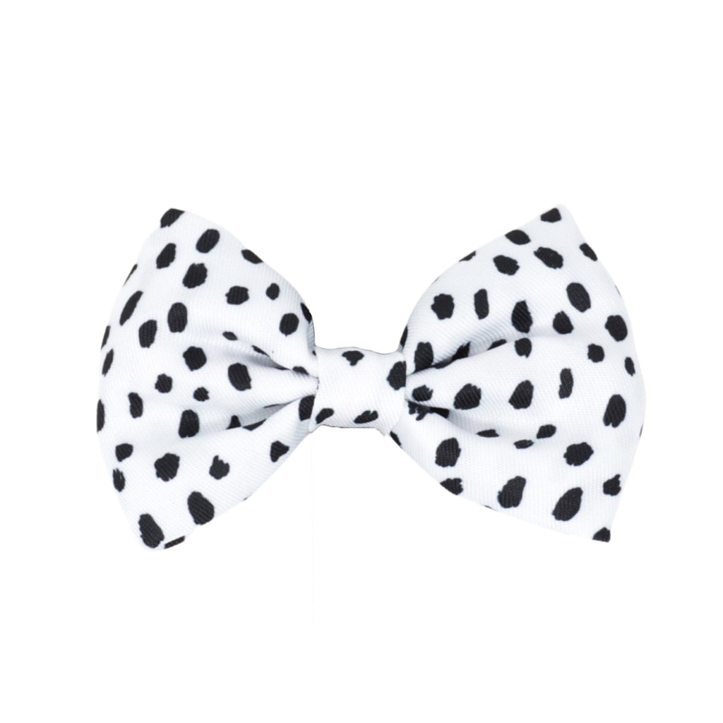 bow tie - spotted