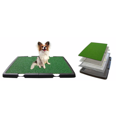 Spotty Indoor Dog Training Potty