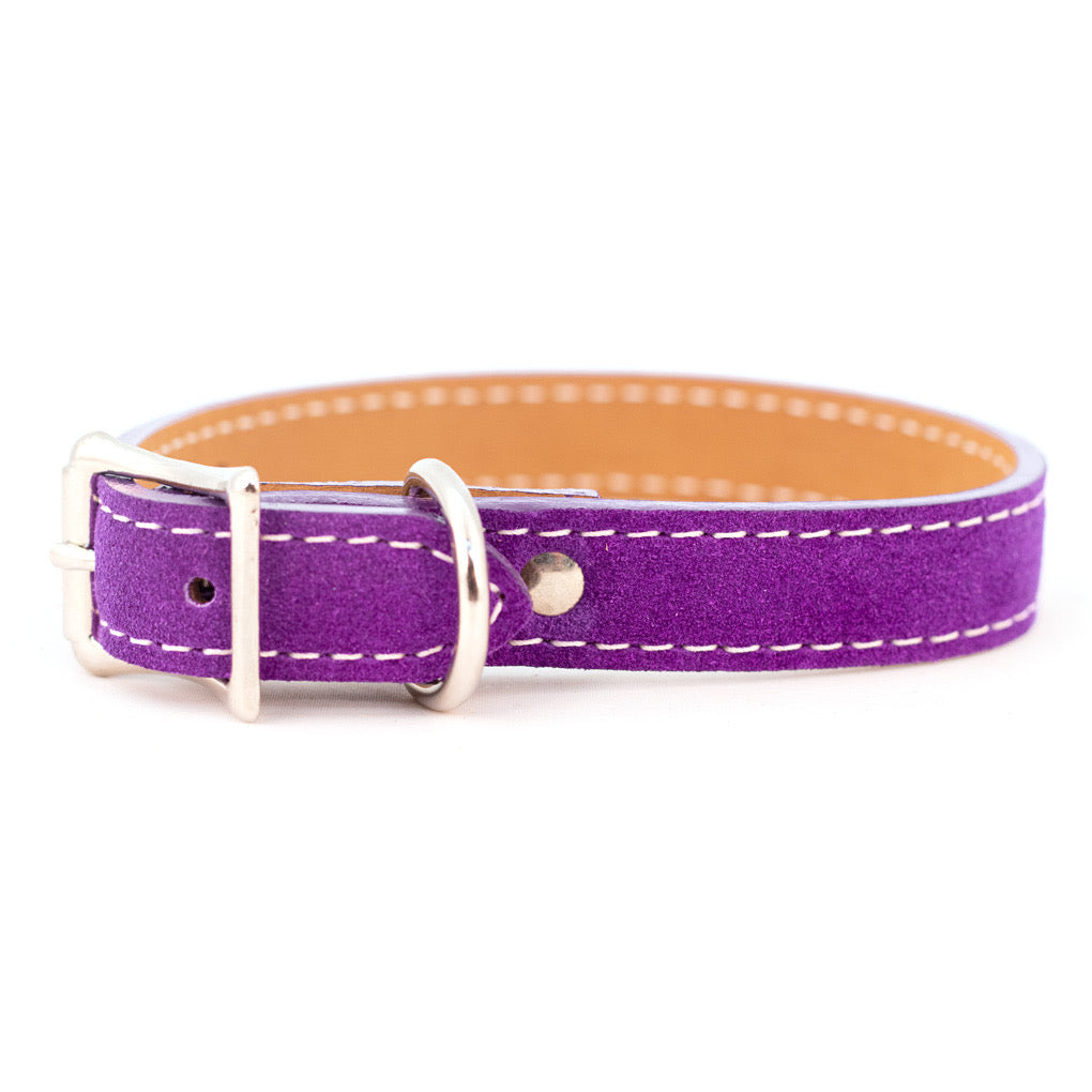 suede collar - purple