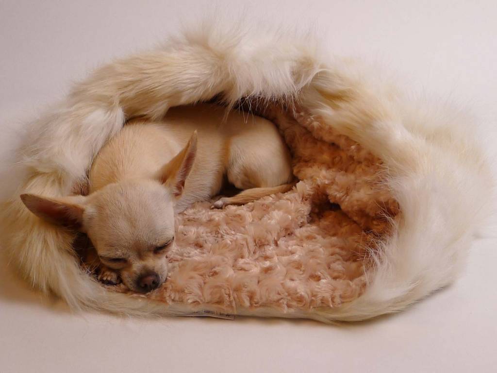 cuddle cup bed - golden chinchilla with frosted camel