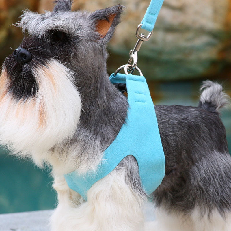 ultra-suede step in harness - tiffi blue