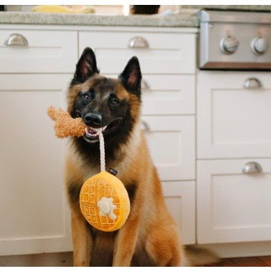 chicken n' wooffles rope toy