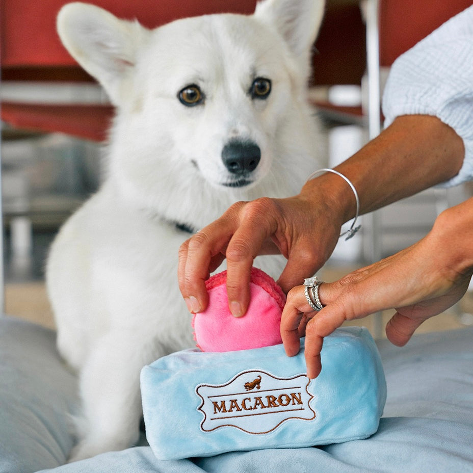 pup cafe macaroon toy