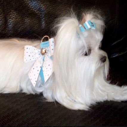 tail studded bow step-in  harness - tiffi blue with white