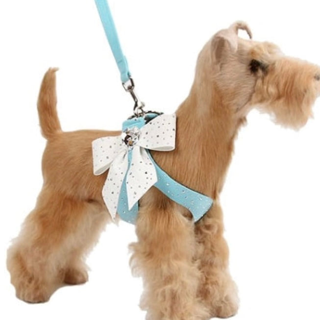 tail bow studded leash - tiffi blue/white