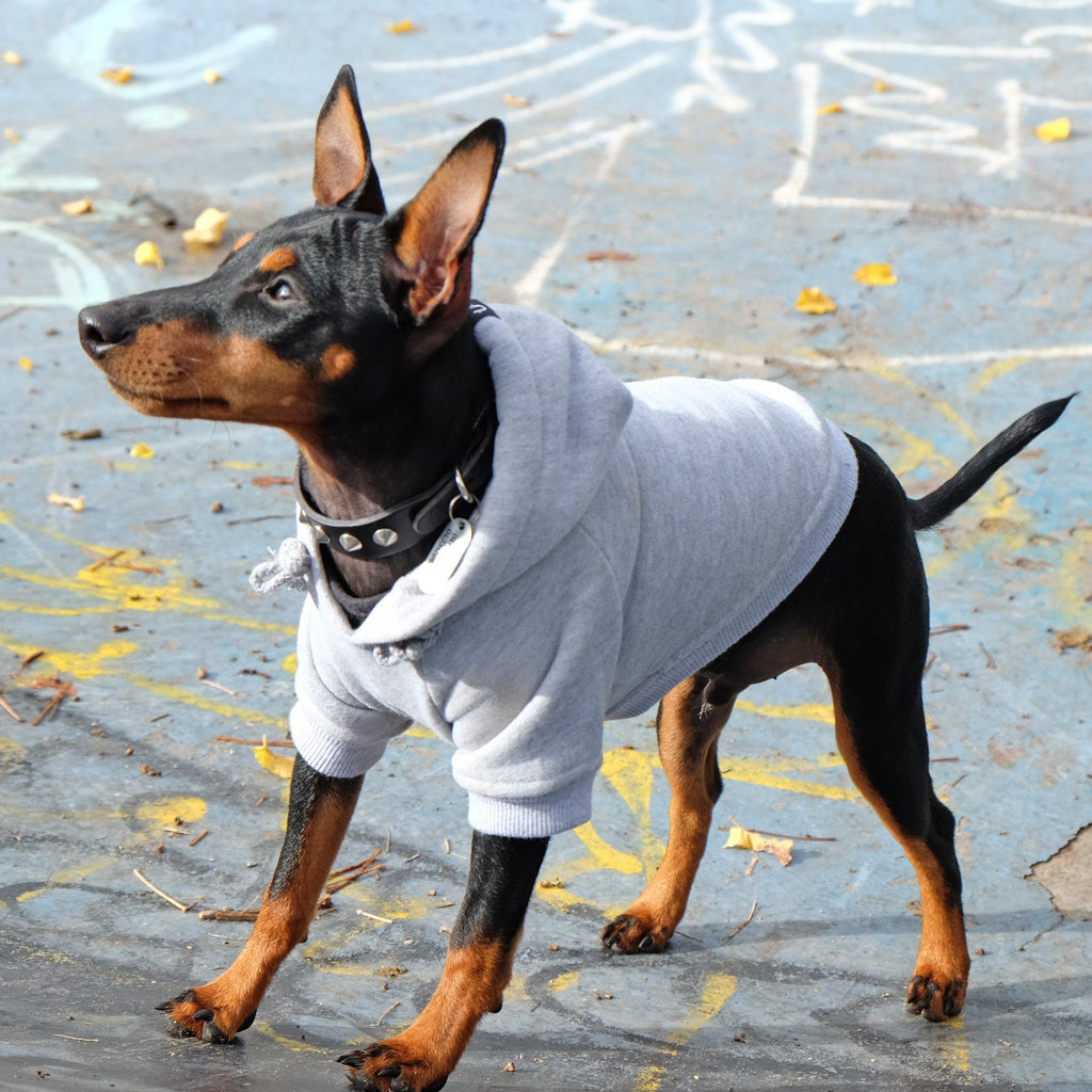 rocky balboa hoodie - grey - xs left!