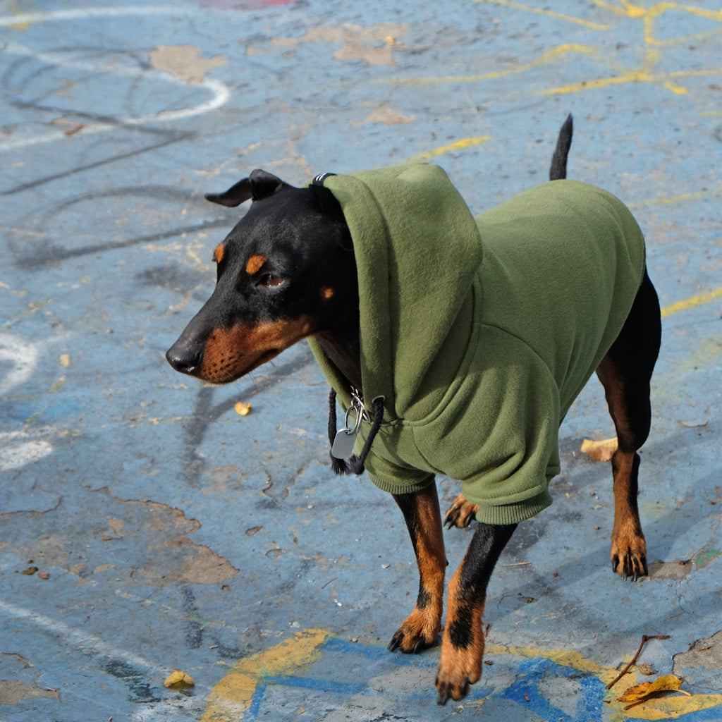 combat hoodie