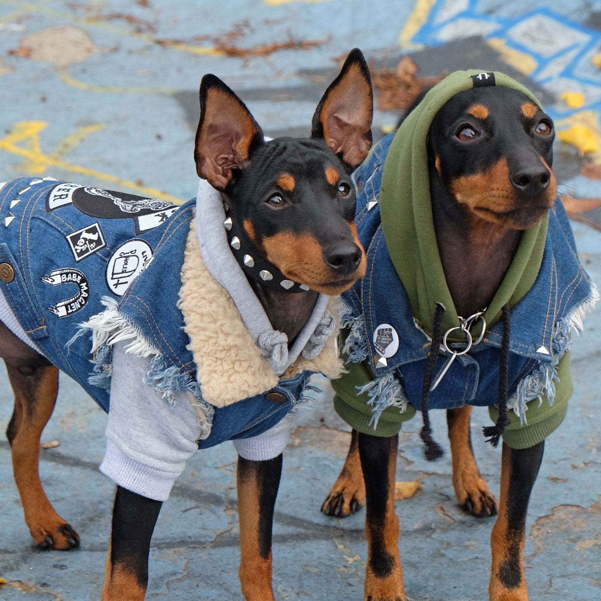Heavy metal dog clothes cheap