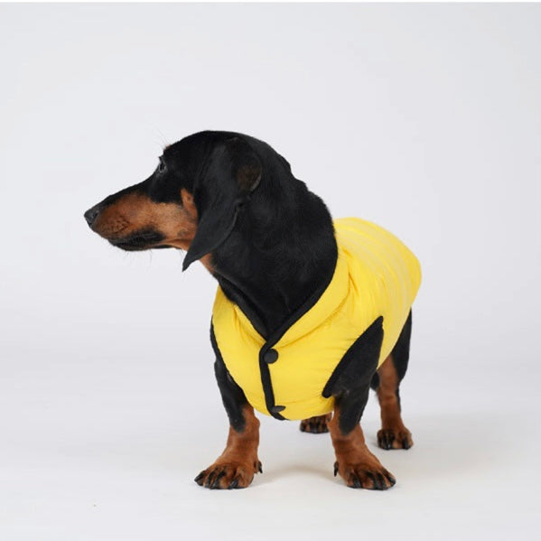 lightweight padding vest for dachshund - yellow