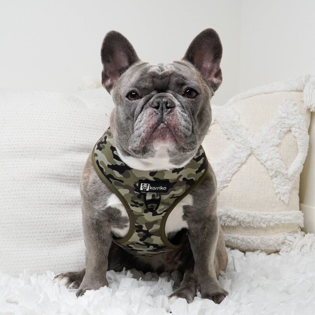 classic no-pull harness with front-clip - green camo