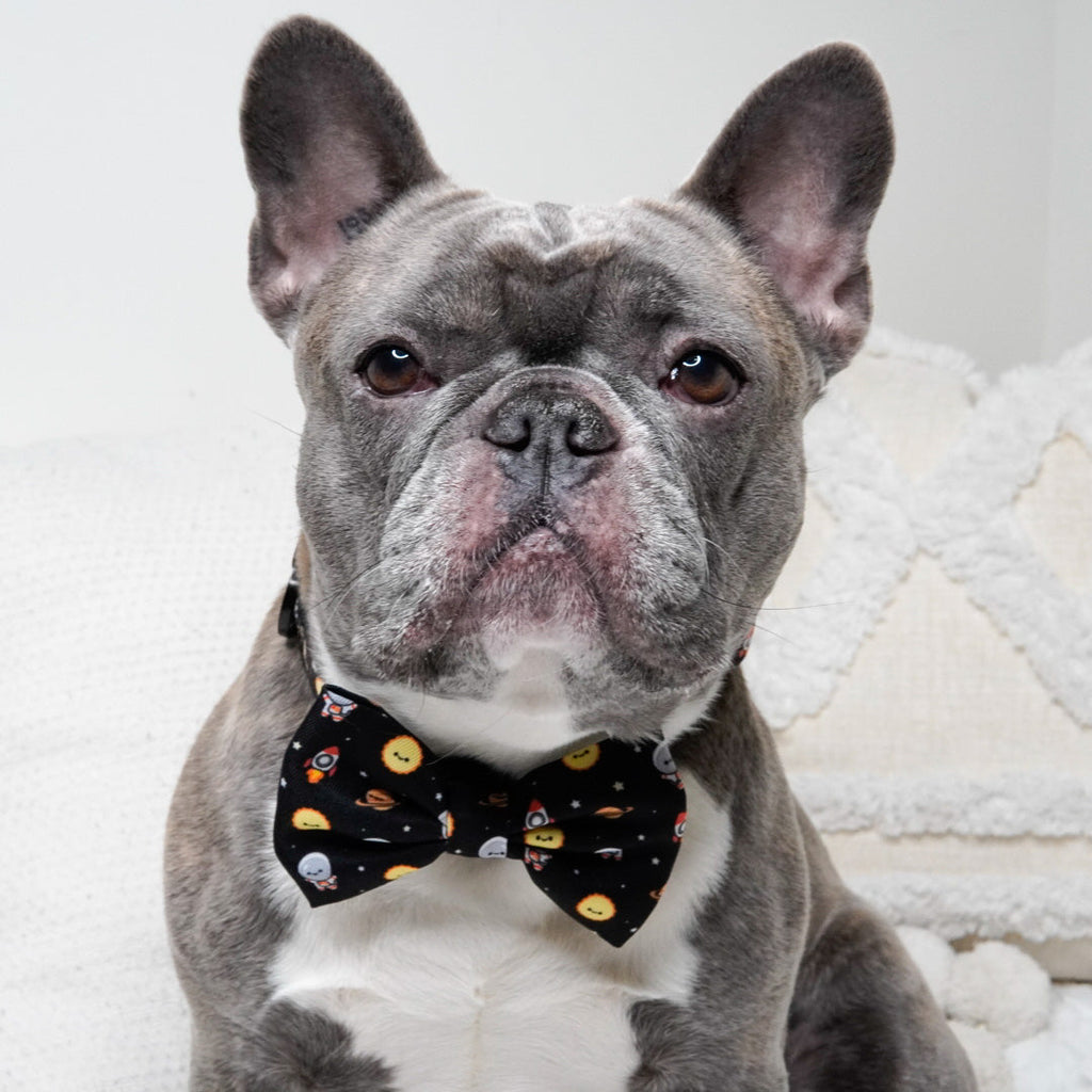 bow tie - space cadet